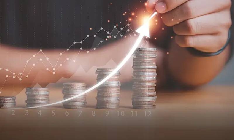 Wealth planner reviewing an investment portfolio with a client
